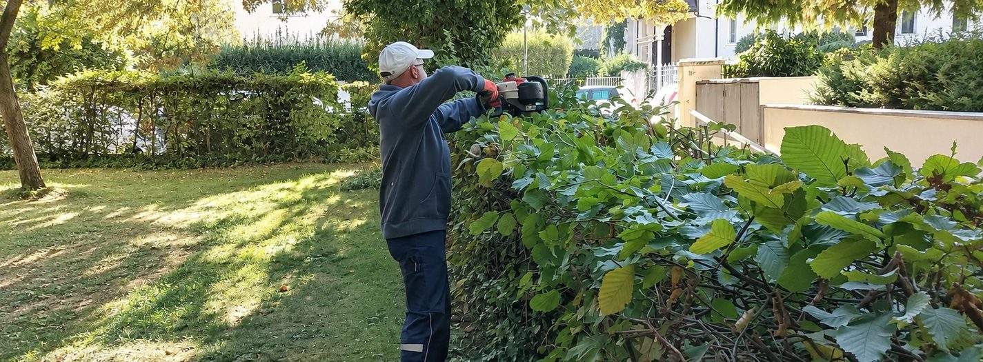 Hecken, Rasen und Beete: Unsere Hausmeister halten die Außenanlagen Ihrer Wohnanlage das ganze Jahr in Form.
